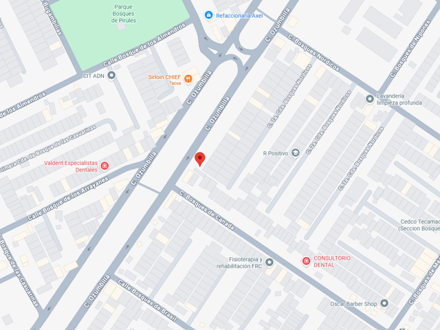 place photo 23