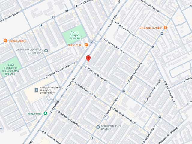 place photo 25