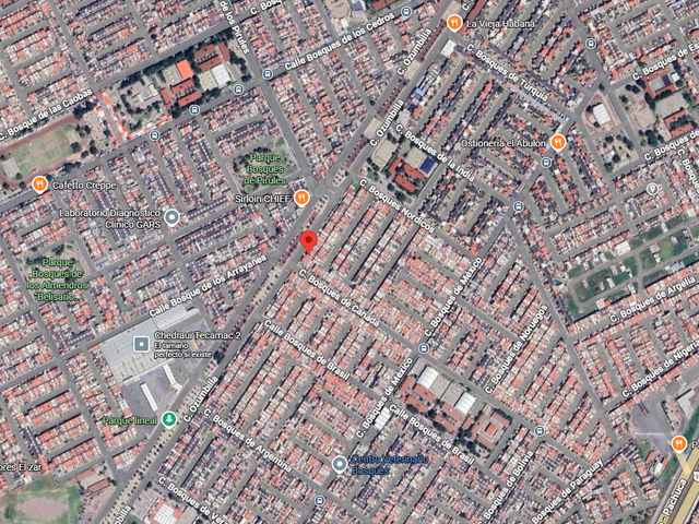 place photo 26