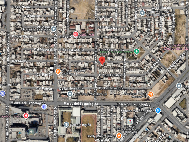 place photo 4