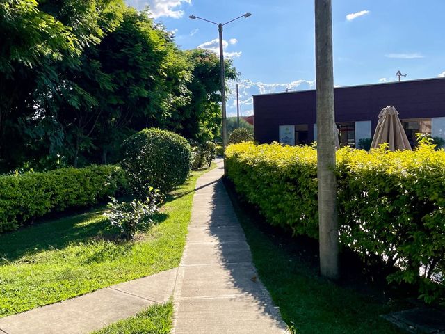 place photo 41