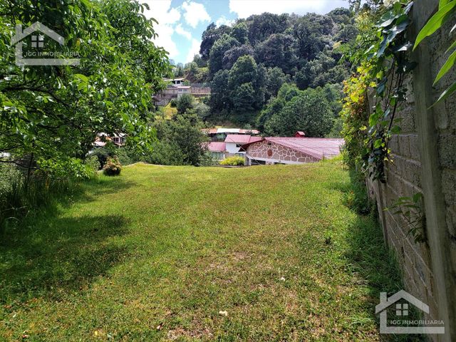 place photo 45
