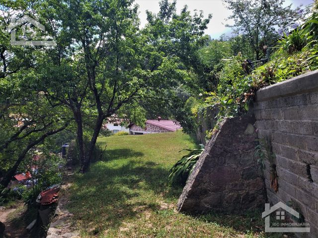 place photo 43