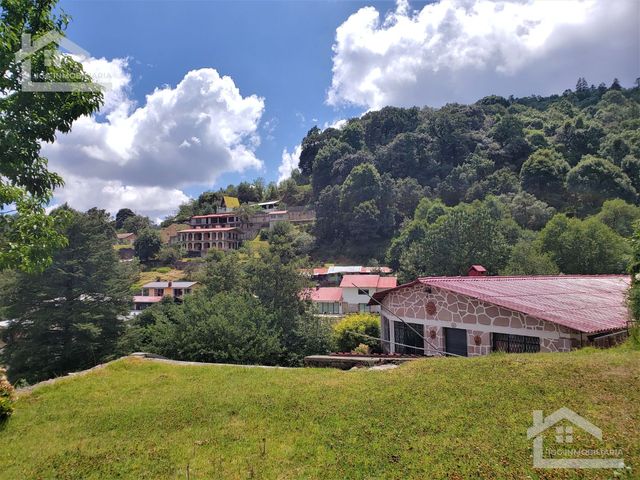 place photo 41