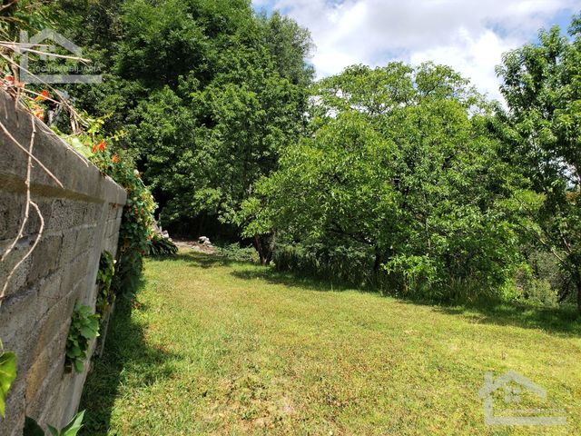 place photo 46