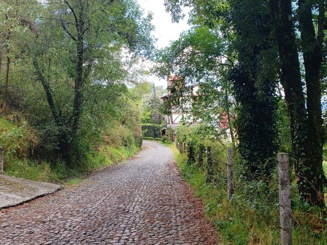 place photo 58