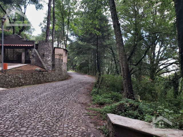 place photo 42