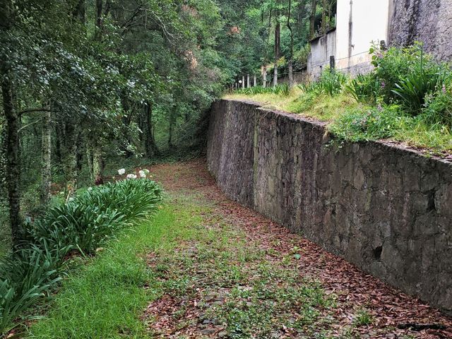 place photo 52