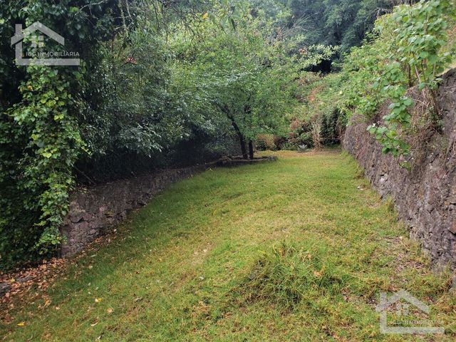 place photo 49
