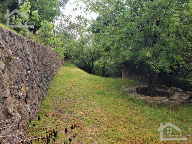 place photo 50