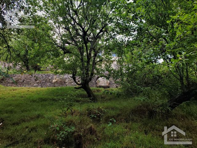 place photo 56