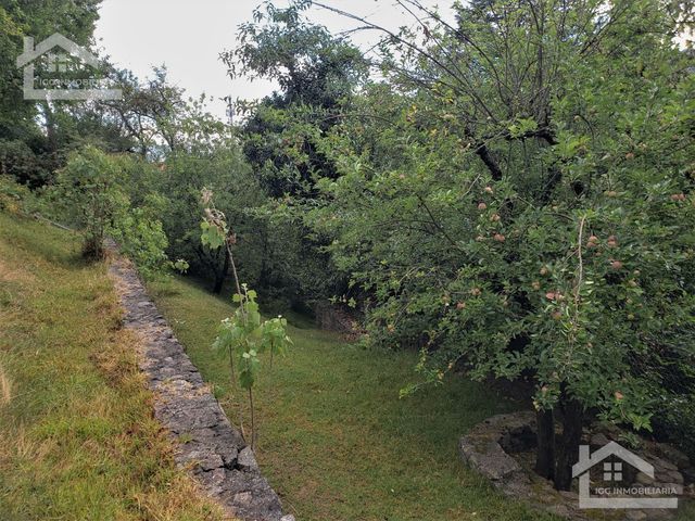 place photo 57