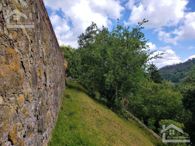 place photo 44