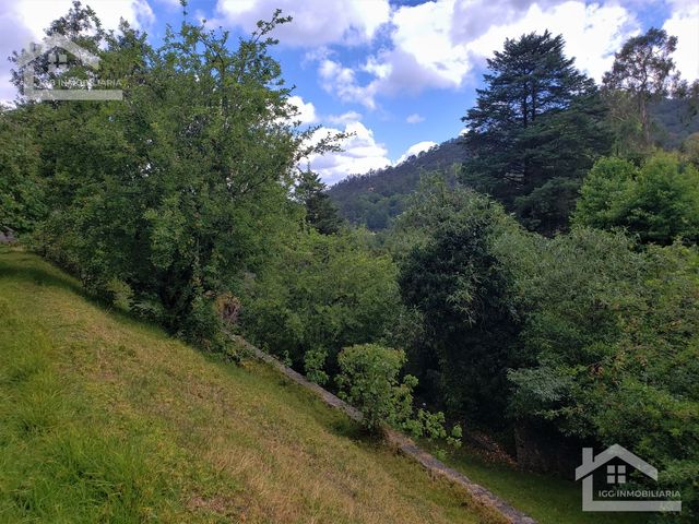 place photo 47