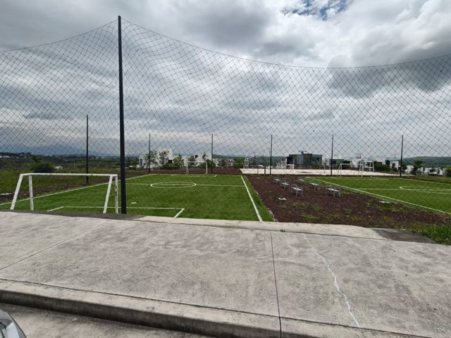 place photo 24