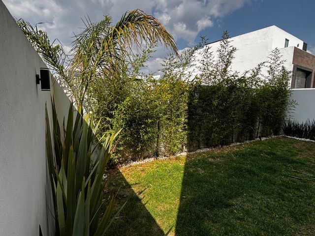 place photo 82