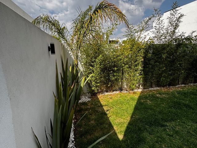 place photo 80