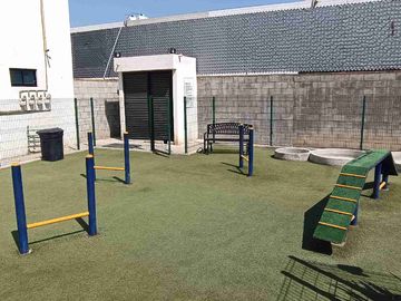 place photo 45