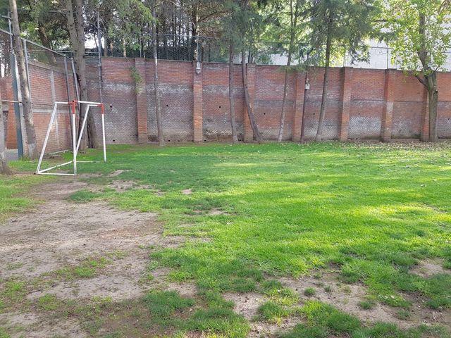 place photo 38