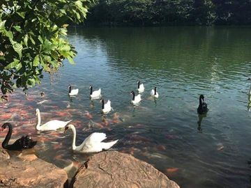 place photo 35