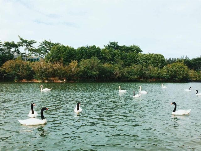 place photo 40
