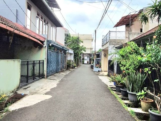 place photo 11