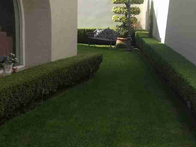 place photo 48
