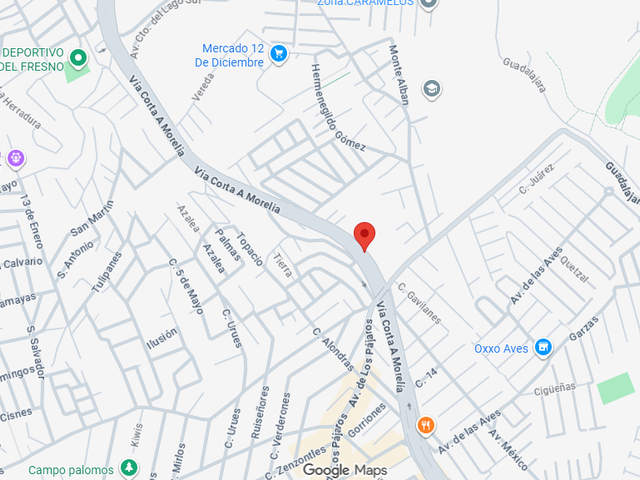 place photo 6