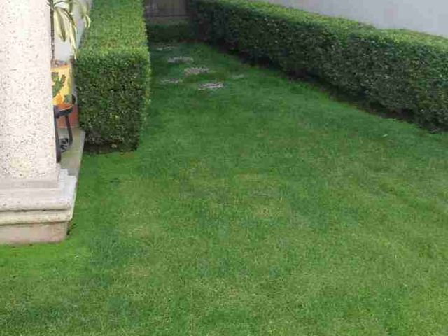 place photo 48