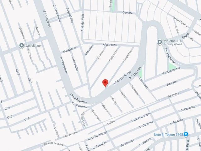 place photo 10
