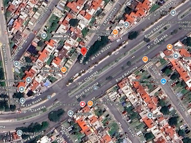 place photo 11