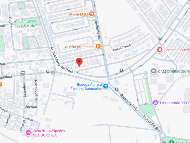 place photo 8