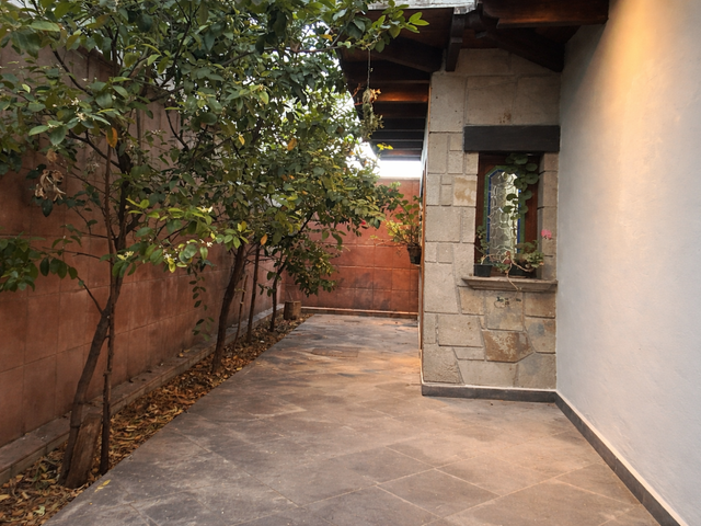 place photo 33