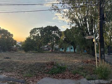 329 sqm Corner lot in Brentwood Subd.