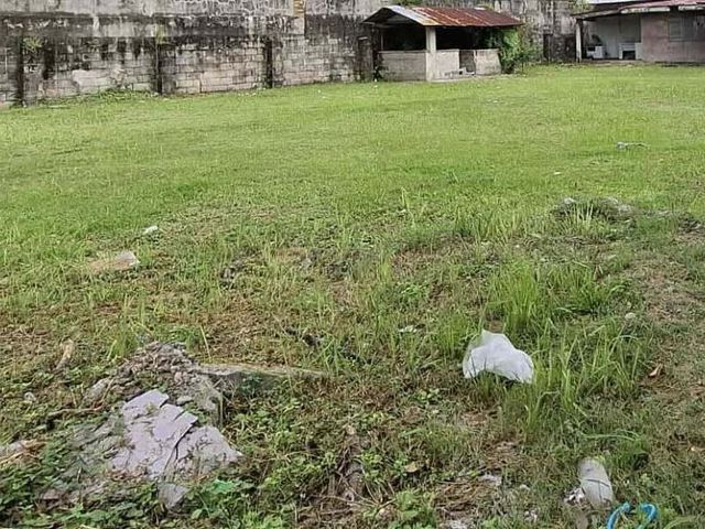 Lots for Sale in Villa Teresa! near Rockwell at Nepo Center