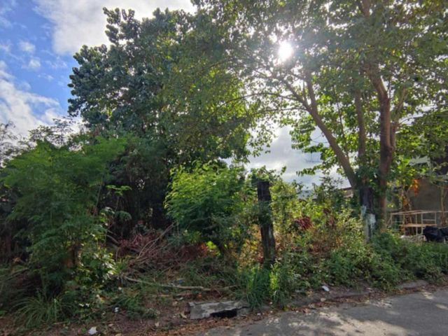 Lot for sale in St. Ignatius Subd. near AUF, NLEX and Marquee Mall!