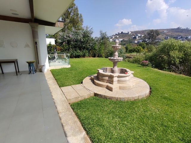 place photo 50