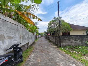 place photo 21