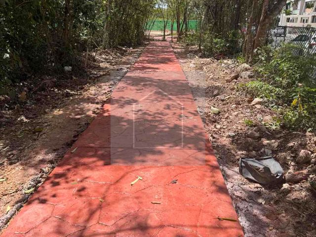 place photo 25