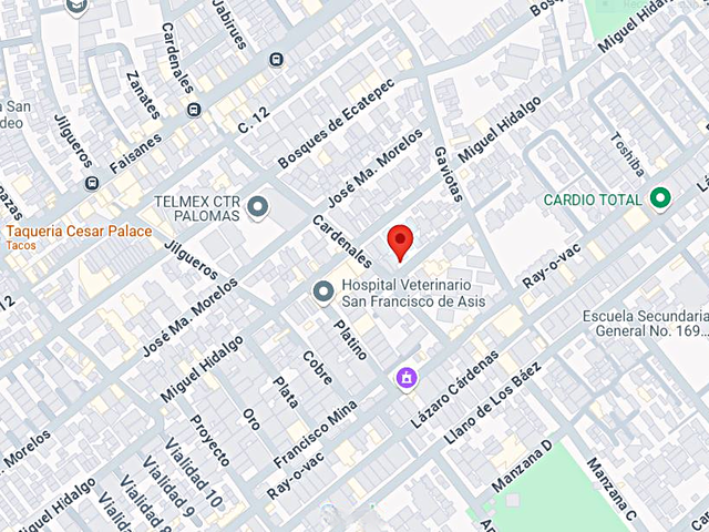 place photo 7