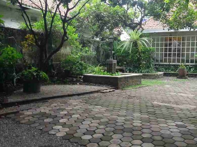 place photo 17