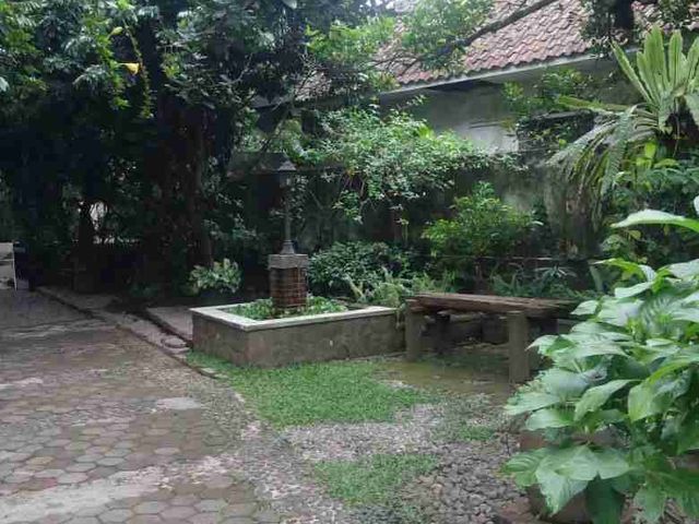 place photo 15