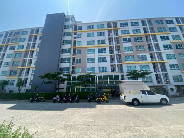 place photo 12
