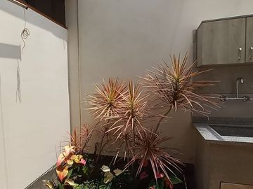 place photo 42