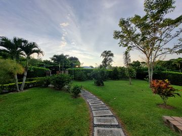 place photo 37