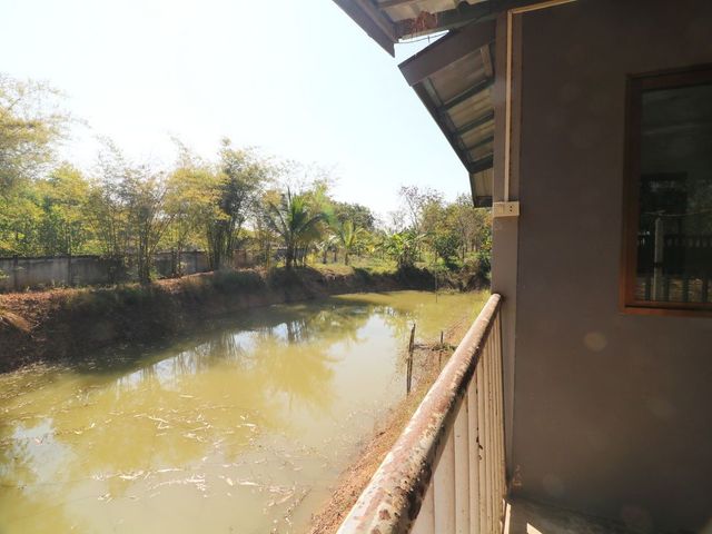 place photo 45