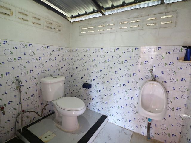 place photo 40