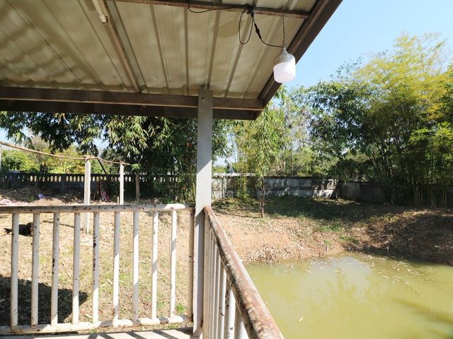 place photo 46