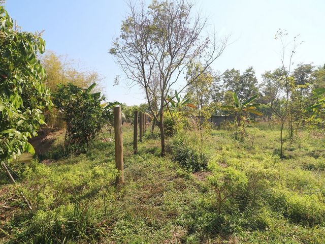 place photo 47