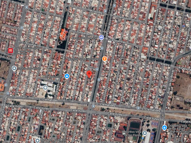 place photo 10